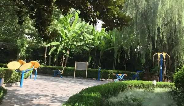 入深圳户口怎么积分_「戏台」真的好看吗？ 的陪诊服务提供希望