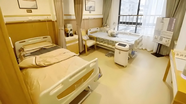 退伍军人在深圳能落户吗_黄奕女儿不读书想去韩国当练习生，颜值是硬伤 黄奕女儿我还的不有用能丢